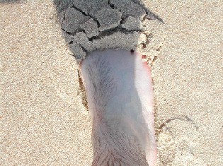 foot.jpg