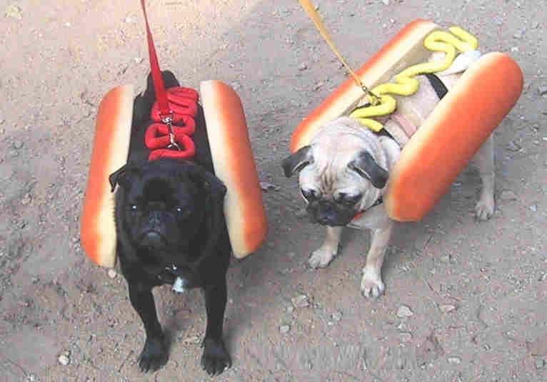 my hotdogs