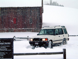 Our excursion in the snow.