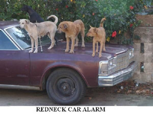 redneckcaralarm.jpeg