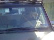 puppydriving2_.jpg