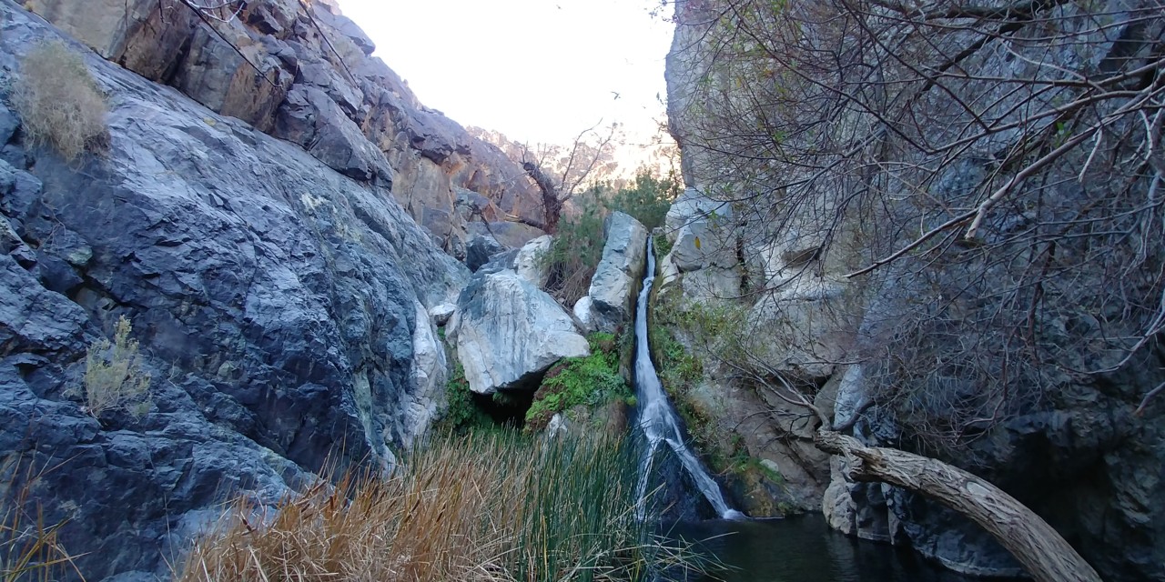 20181230_130524_HDR.jpg
