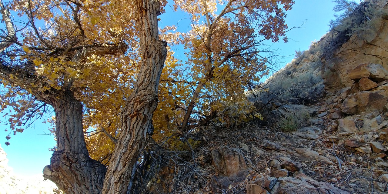 20181229_124629_HDR.jpg