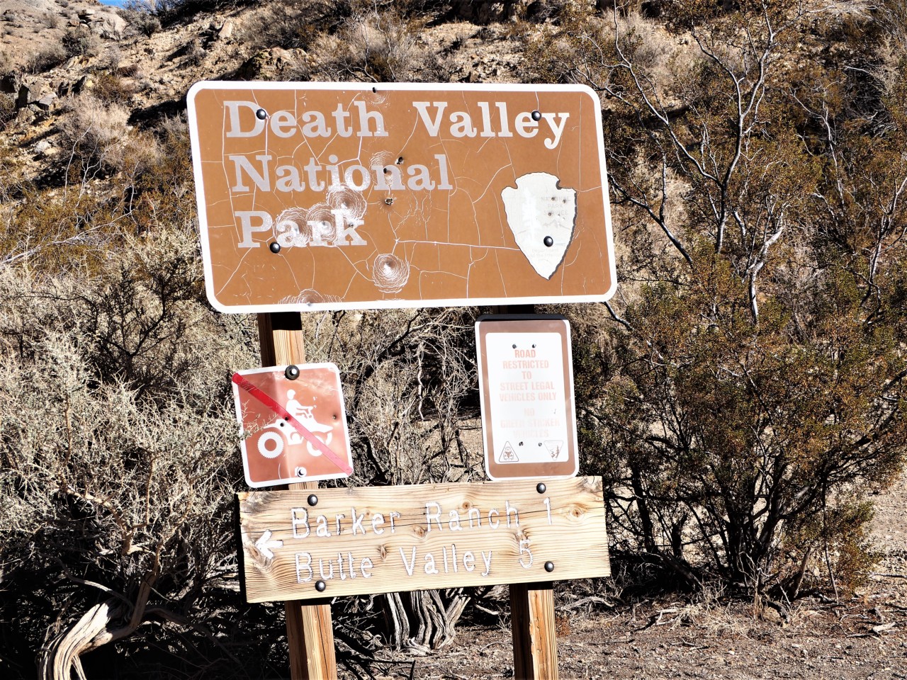 DV290344.JPG