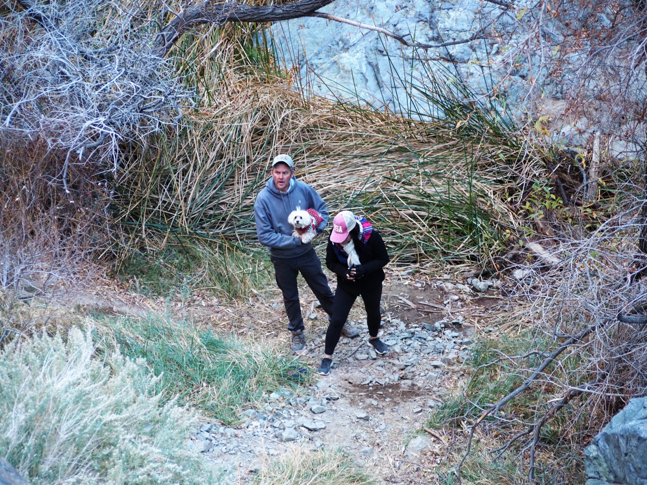 DV300407.JPG