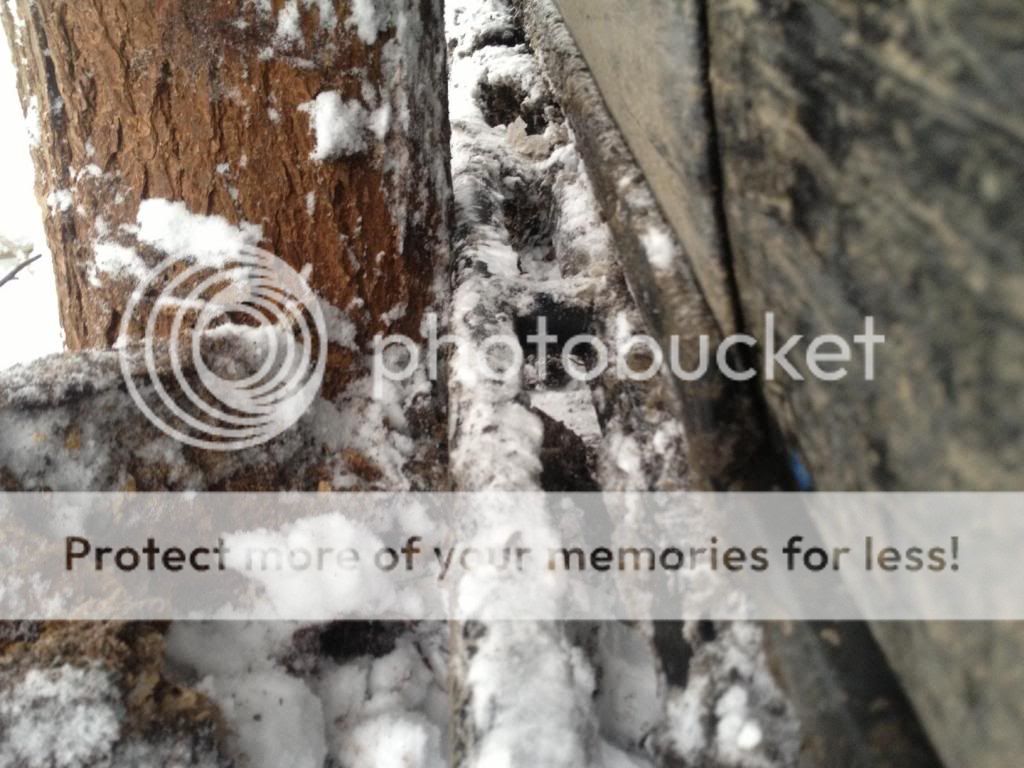 photo-19_zps3ca4c82f.jpg
