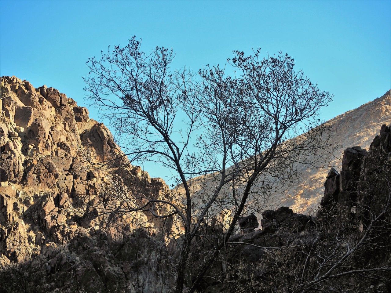 DV300401.JPG