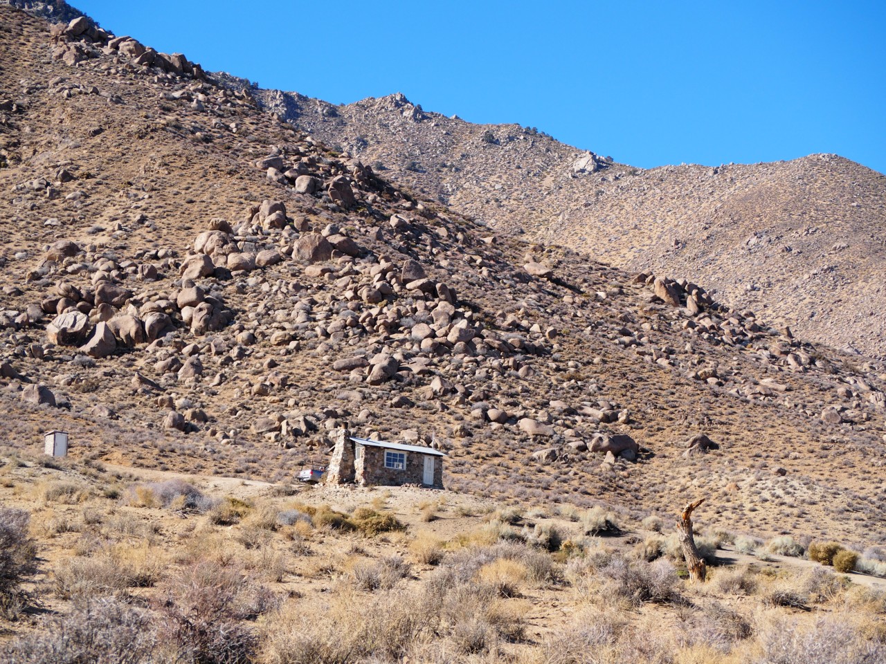 DV290320.JPG