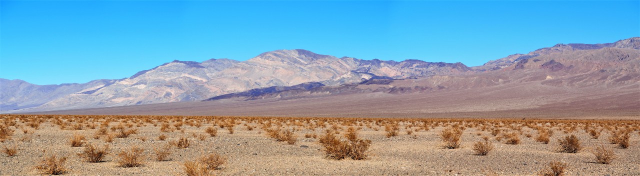 DV300389_0393.JPG