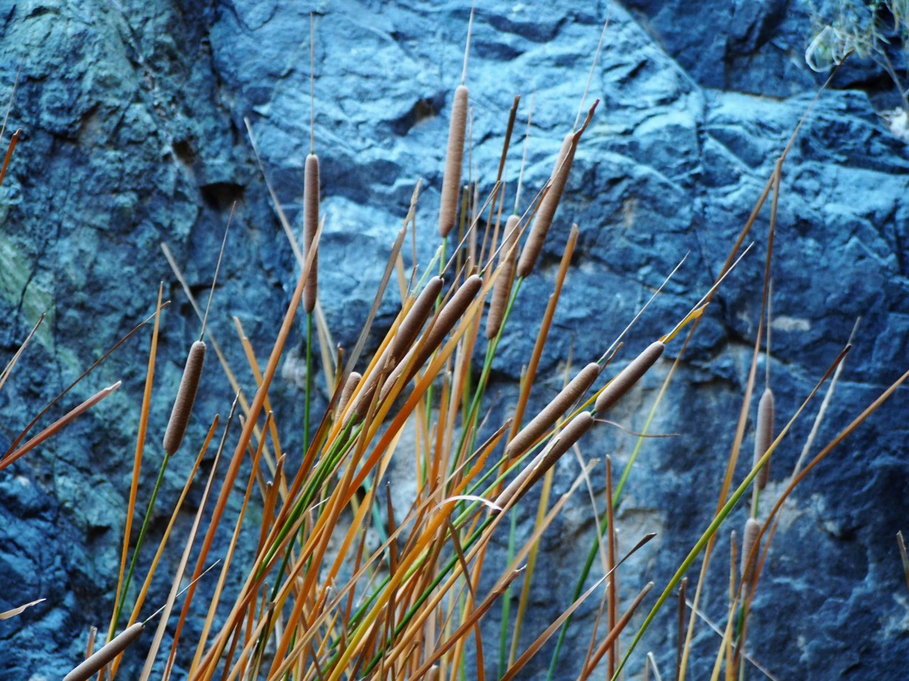 DV300430.JPG