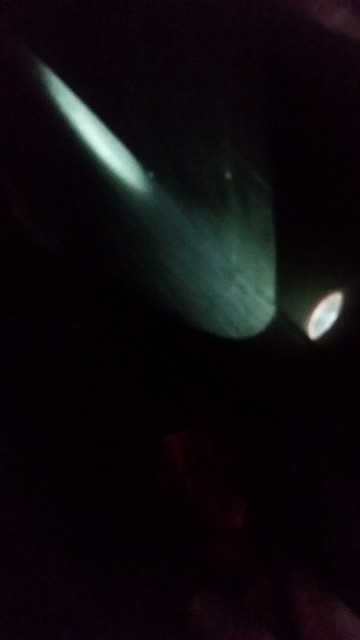 44295729315_521f58f1c1_z.jpg