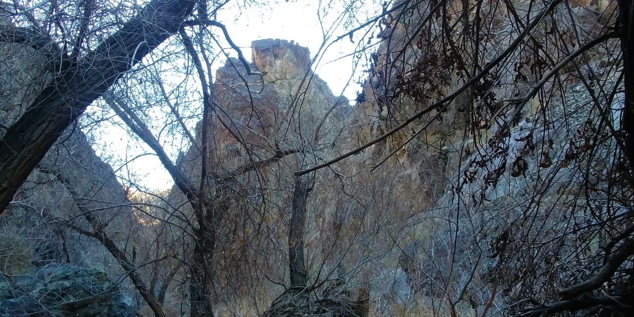 20181230_130940_HDR.jpg