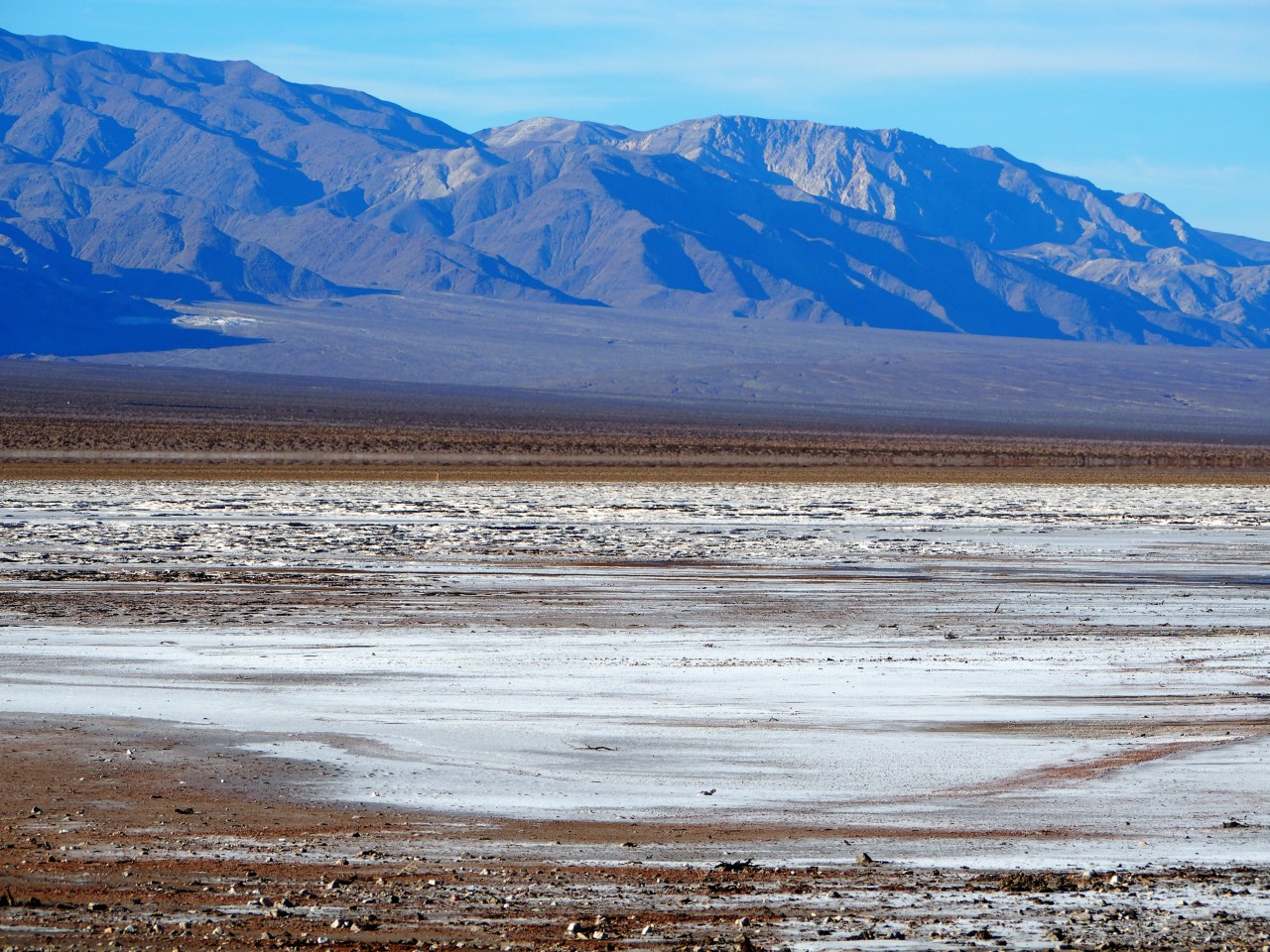 DV290371.JPG