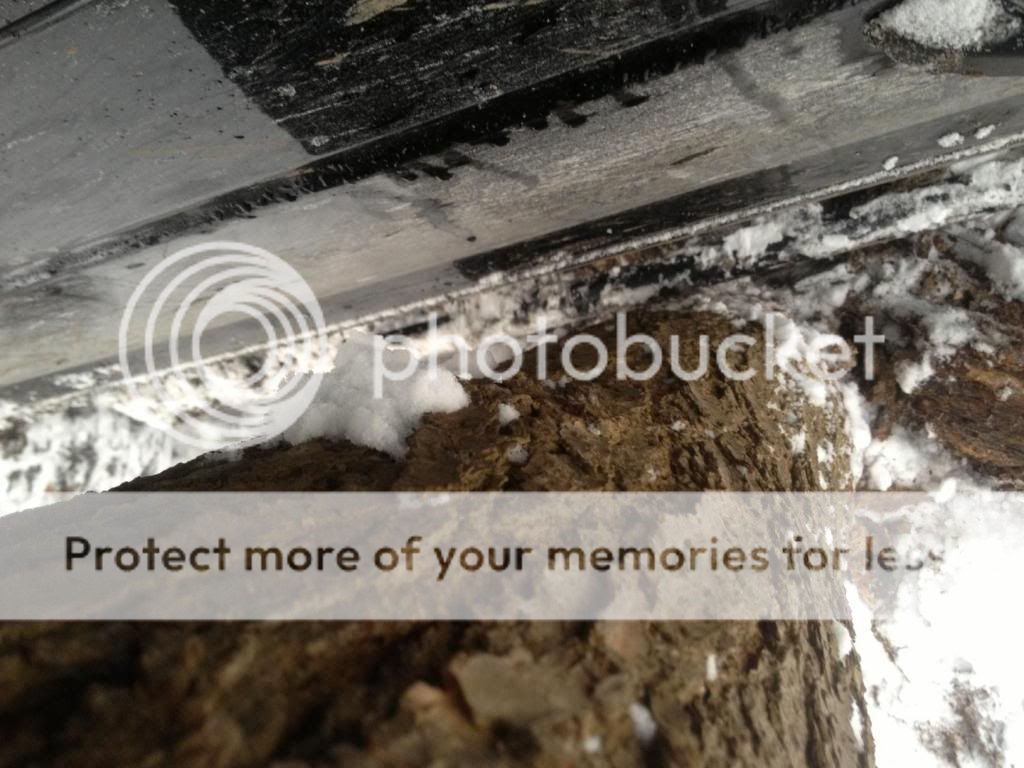 photo-20_zpsd3eb7b26.jpg