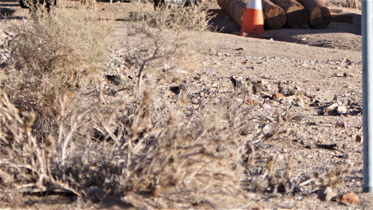 DV300485.JPG